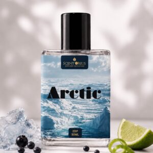 arctic inspied by hawas